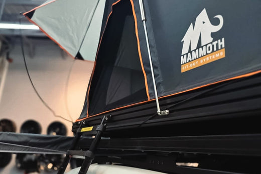 When Is Car Camping the Smarter Road Trip Choice?