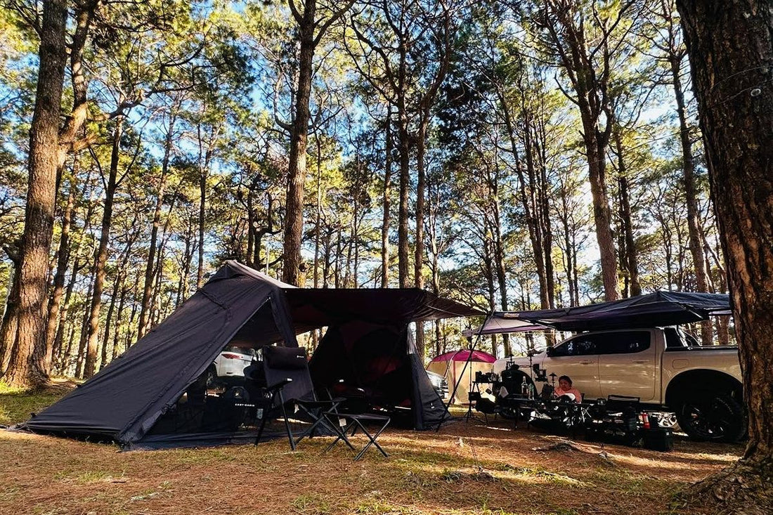 Forest campsite with tents, awnings, chairs, and a pickup truck under tall pine trees
