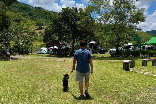 Camping Spots for the Broken-Hearted